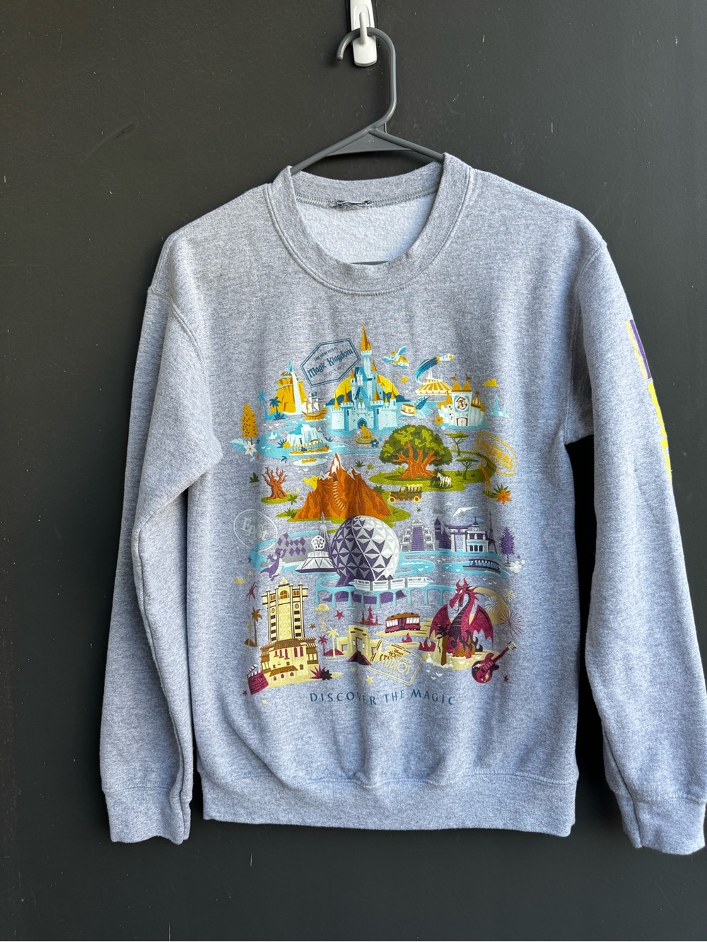 Disney Parks Disney World Discover The Magic gray Crewneck